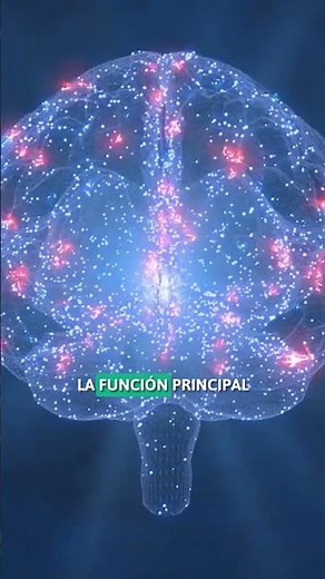 Las NEURONAS en 1 MINUTO 🧠 #SHORTS