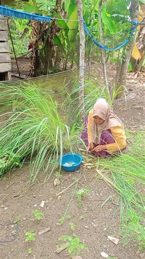 menu buka puasa Day 13 nasu palekko || requesan KK sulung 😇🥰 #puasaramadhan#vlog