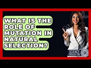 What Is The Role Of Mutation In Natural Selection? - Science Through Time