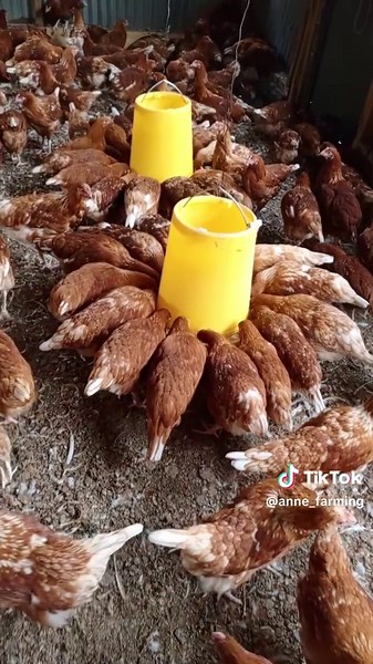 3 Months of God's Grace in Farming Life