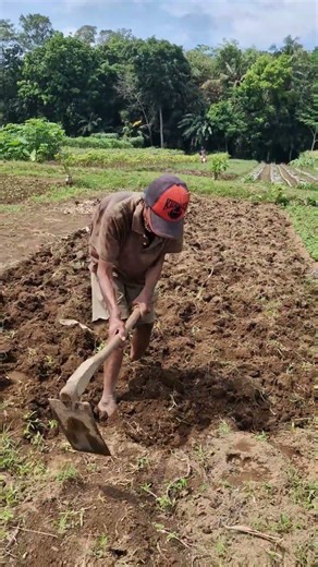 Simple farming tools to loosen the soil quickly-Agriculture farming #shorts