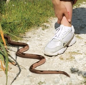 991K views · 4.2K reactions | Camping Off the Grid? Don’t Go Without These Smart Hacks! | 5-Minute Recycle | Facebook