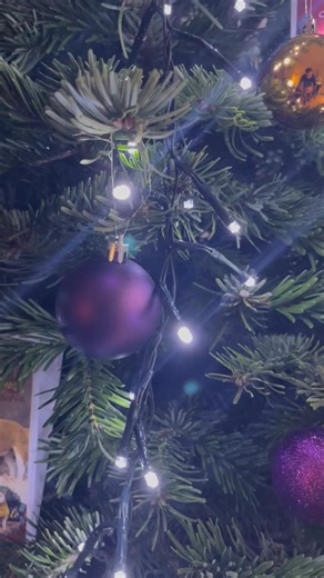 5.5K views · 18 reactions | Christmas Present Sale of Texel In-Lamb...