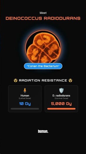 Space's Immortal Survivor