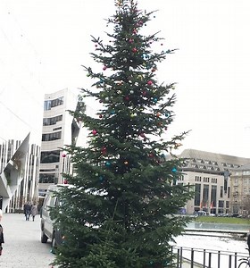 ドイツのクリスマスソング〜O Tannenbaum（もみの木）