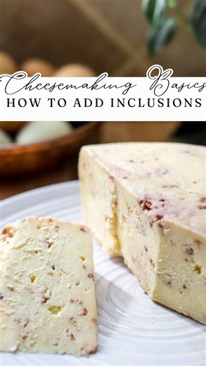 Megan Austin | Ninnescah Homestead on Instagram: "Ever tried flavoring your homemade cheddar cheese? Today I’m making a wheel of white cheddar with cranberry + jalapeño. It’s sweet, spicy, and sharp in all the right ways. I chopped dried cranberries + dehydrated jalapeño peppers with cheese salt to keep everything from clumping (food processor works great for this!), then worked it into the cheese curds before pressing. It’s one of my favorite ways to customize cheddar cheese at home! Want to le