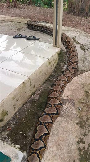 Lagi badmood 🥱 | Abdul Azis Albar