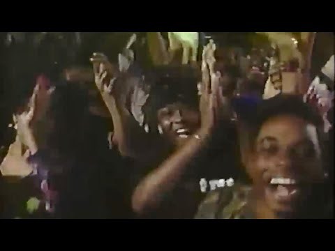 Zack Fox - sipping my tea (visualizer)