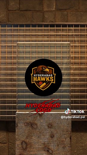 Hyderabad Team Logo Unveiled for PSL 2023