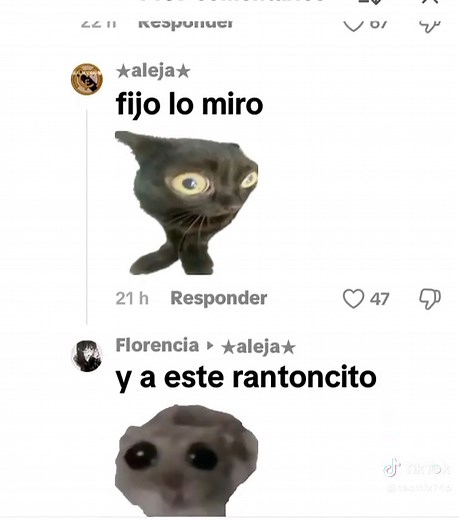 Vino un gato negro: la historia del ratoncito