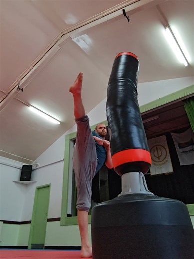 You could be an absolute representation of power, control, speed, flexibility, and fitness. It does take a lot of work and dedication but that is why it is such an unusual thing to see... And also why it is so valuable. Get to work, drip with sweat, build your body, and stretch yourself - you'll love the results. #superhuman #martialarts