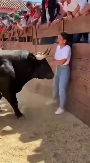 Bull Charges and Traps Woman! #reelsfypシ #fypシ #reels #Viral | Bull Rush