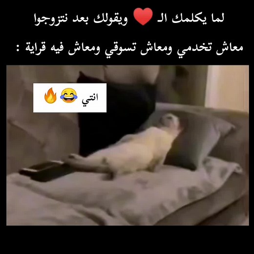 ‏♥️😂😂😂