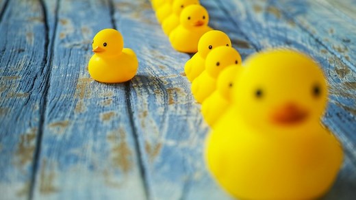 How the rubber duck became a million dollar idea