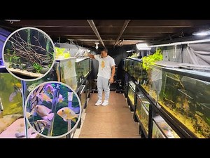 NEW 55 GALLON FISH TANK SETUP