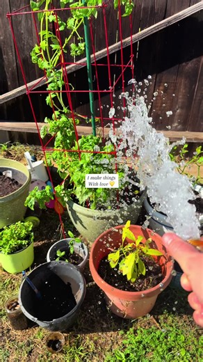 #fyp #homemade #handmadewithlove #sourdough #gardening