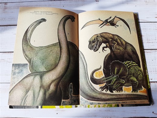 Vintage Zoology Book: Illustrated Animals, Birds, Insects - 1981 - Etsy Australia