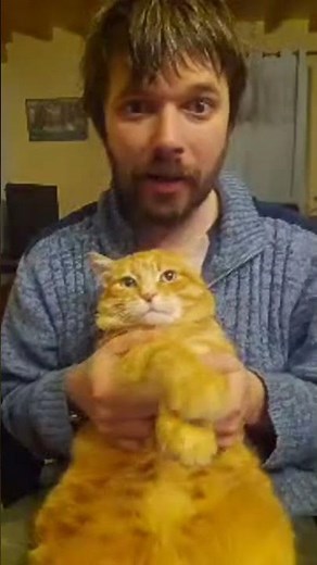 Garfield attacks with a claw combo! 🤣🐾😹