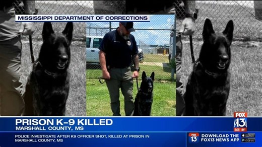 K-9 that helped secure north Mississippi prison shot dead, officials say | Haystack News