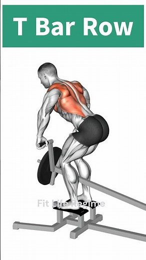 T Bar Row Exercise for a V-Taper Back