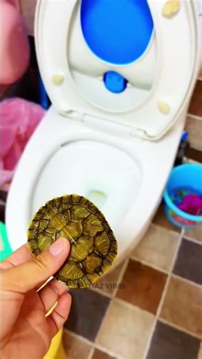 After not recognizing the turtle's home 🐢 #shortvideo