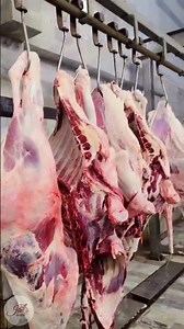 Jan's Meat Meat Cutting and Cleaning in Factory | Jan's Meat #shorts #viral