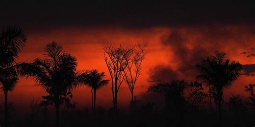 Brazil’s Climate Overture to Biden: Pay Us Not to Raze Amazon