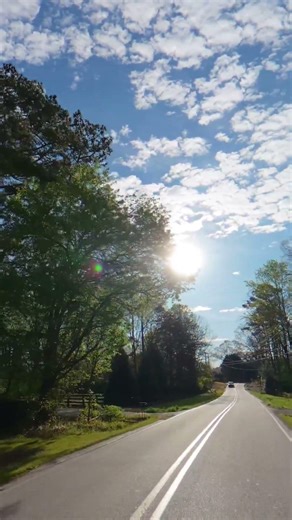 This sunlight feels like natural neon | Calm Drive #calmdrive #morningdrive #ruralroads #relaxing