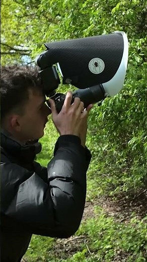 Photographing a big juicy green shield bug! #macro #macrophotography #stinkbug