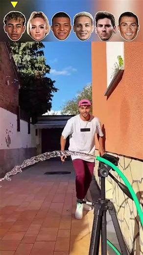 Exploring the Fascinating World of Smart Bots