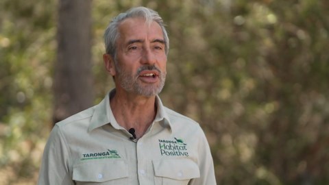 Taronga Zoo buys farmland to create an ecosystem for endangered species