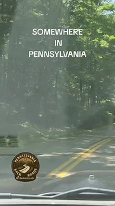 40K views · 1.2K reactions | Sometimes the best journeys are the ones...