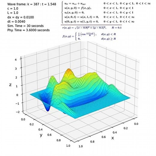 Simulation of a 2D wave equation with a Dirichlet type boundary conditions