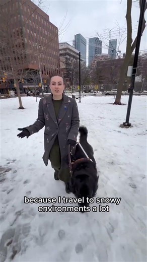 Why Climate Matters for Guide Dogs