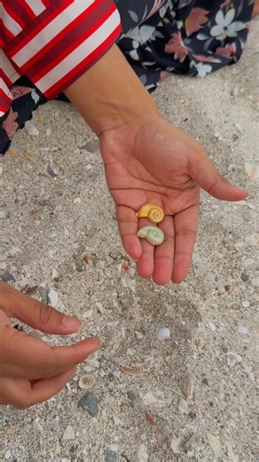 Shell jewelry #clayjewelry #polymerclayjewelry