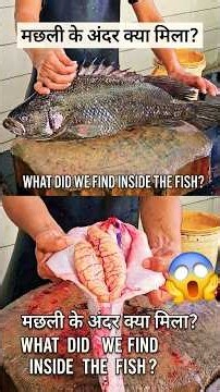 "Satisfying Square Cut Fish Cutting with Perfect Pieces Fresh Eggs! #seafood #cuttingskills #shorts