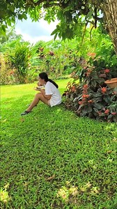 128K views · 3.5K reactions | BAKIT DAW MY AVOCADO PA AKO HALA TARA AVOCADO PADIN | Ang aking buhay bukid sa Martinique -Edelyn | Facebook