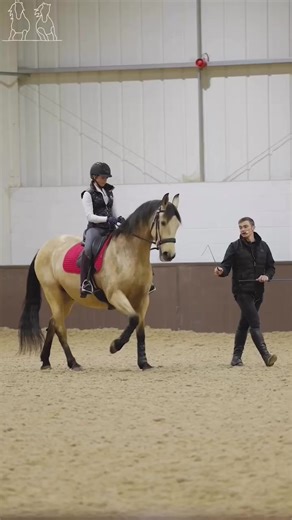 37K views · 1K reactions | ✨Ben Atkinson Method LIVE✨ The Spring Demo & Clinic tour dates are now live! Join us with your horse for a chance to learn from me in person, come as a spectator and gather knowledge from every lesson throughout the day. Or come to our evening demos and be educated and inspired! Click the link below to book tickets now!  https://horsemanshiphub.com/ben-atkinson-tour/ | Ben Atkinson | Facebook