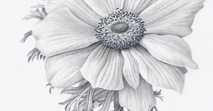 Drawing Level 2/ Depicting Light and Shadow