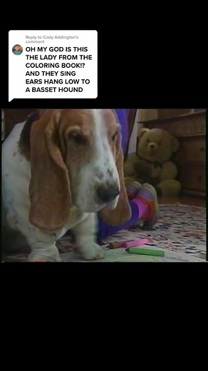 Replying to @Cody Addington Good news… 🐶 #vhs #retro #90snostalgia #childhood #weesing #sillyville