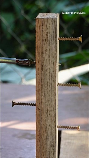 How wood screws work #diy #shorts #woodworking