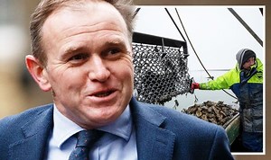 Brexit: UK will 'benefit from control of laws' says Frost