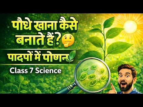 पादपों में पोषण 🌿 | Class 7 Science NCERT | Photosynthesis आसान तरीके से #upsc #psc #ncert #video