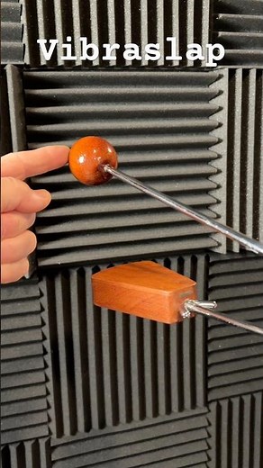 How to Play Vibraslap #drumlesson #percussion #worlddrumclub #vibraslap