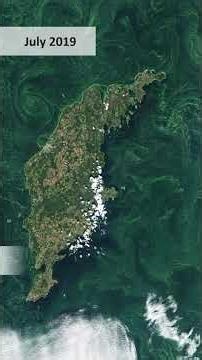 Eutrophication in the Baltic Sea near Gotland (2019–2024)