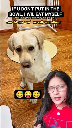dog : don't bother, let me eat myself 😜#Labrador #Dog#funny #pets #doglover #shorts