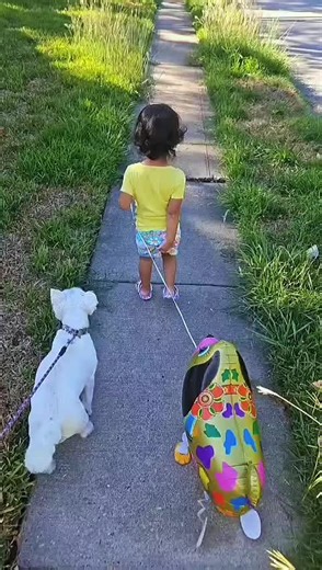 Sometimes it’s so fun you gotta poop yourself 🤣. #poopedmypants #dookie #kidsoftiktok #funnyvideos #laugh