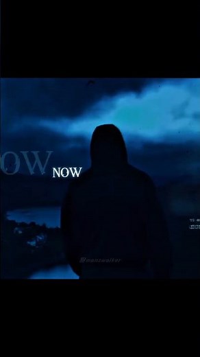 Alan Walker - Lily (Lyrics) #alanwalker #manzwalker