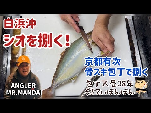 #365 【白浜沖のシオをさばく】お客様が釣ったお魚をさばく！【京都有次の上製の骨スキ15センチでさばく】