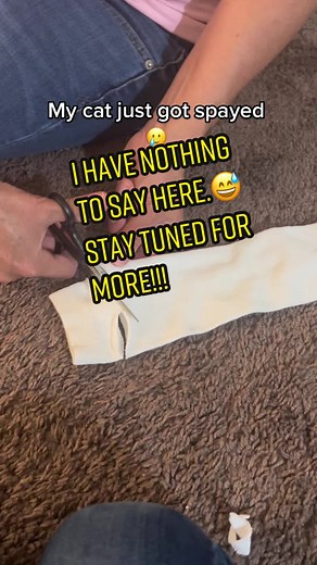 She just go spayed so we had to!!! #tokio #kitten #kittensoftiktok #funny #funnycats #babyanimal #funnyanimals